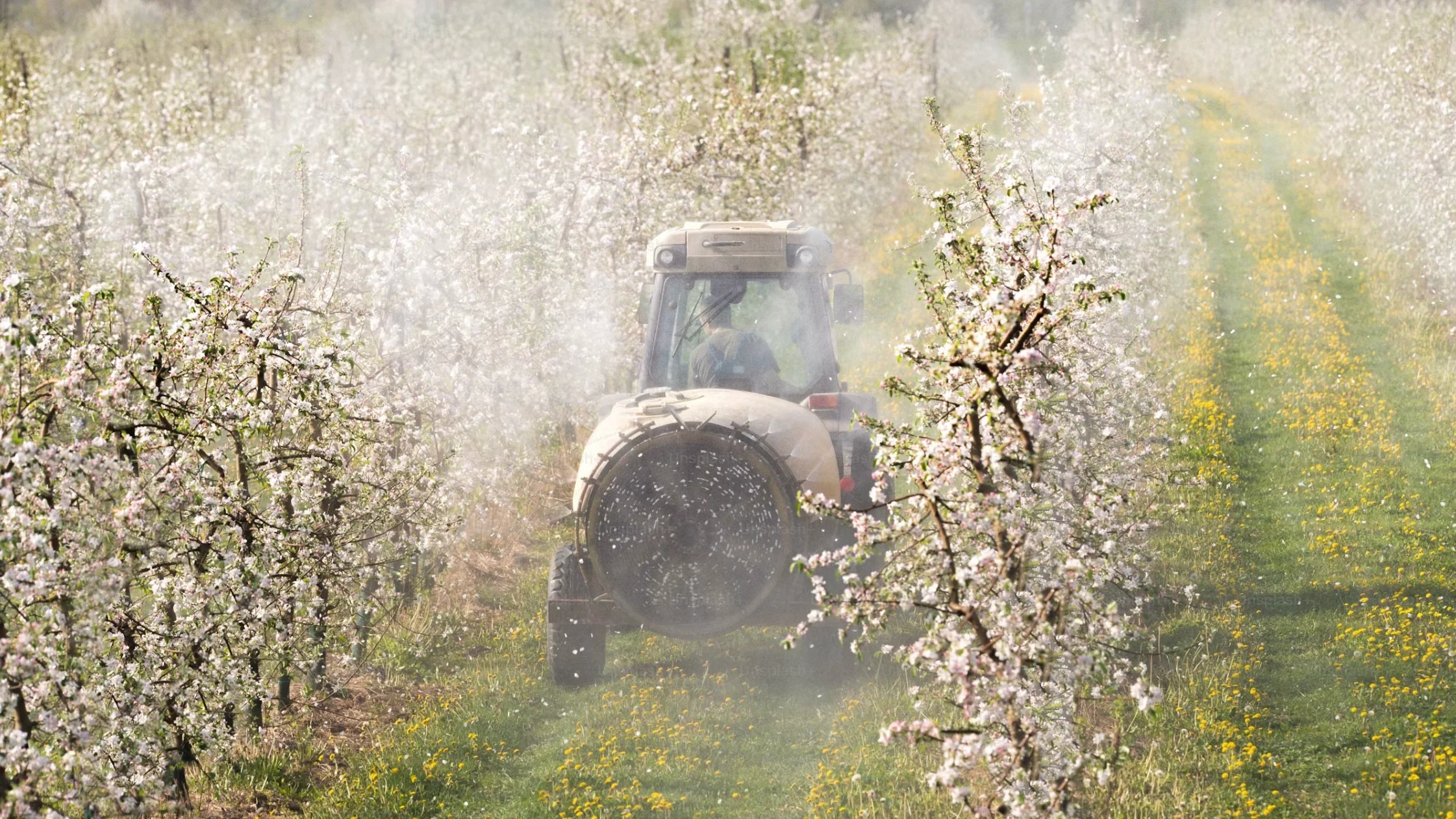 Vom Baumwollfeld bis zum Kuschelhoodie – So entsteht dein Lieblings-Piece