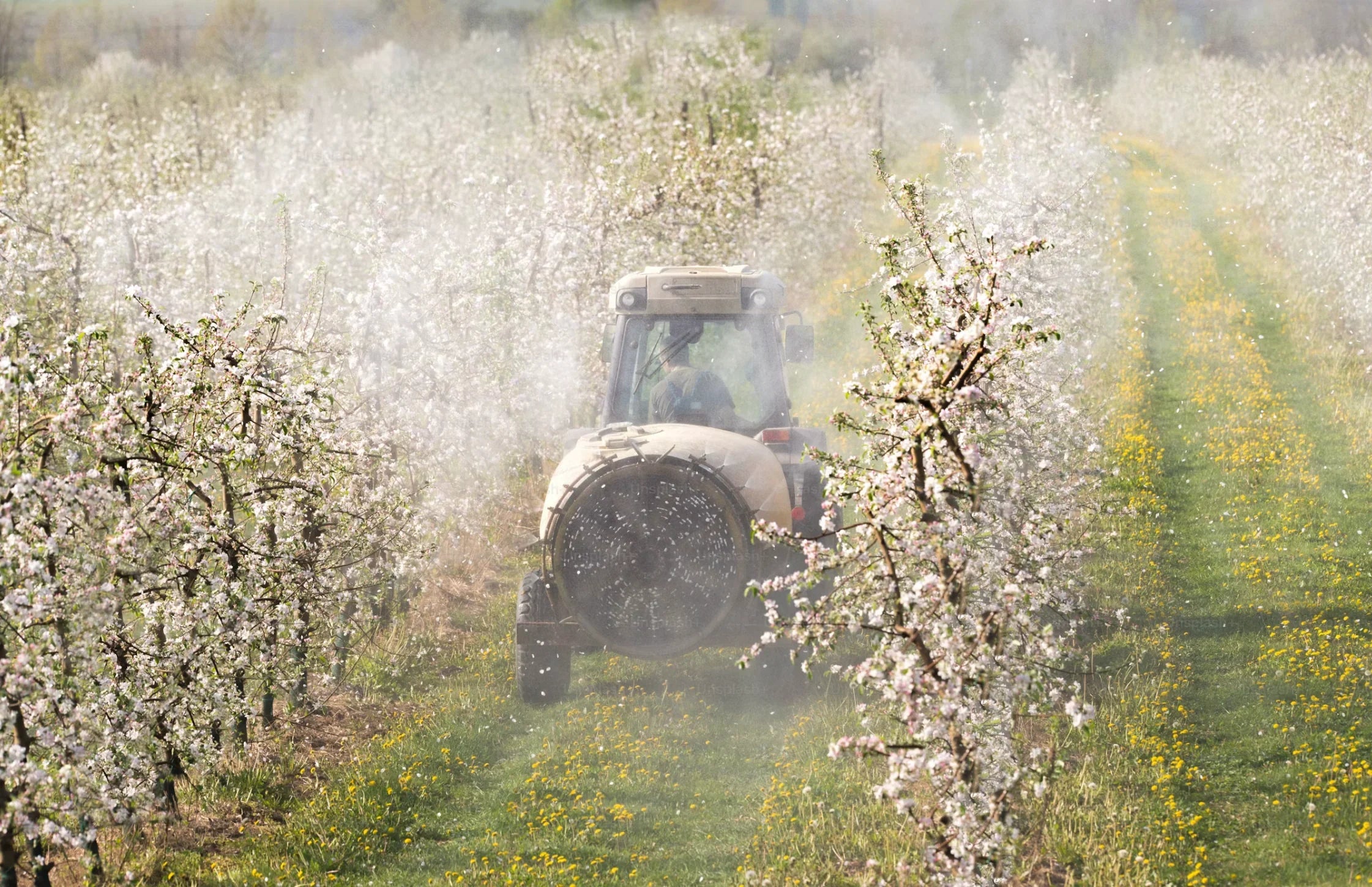 Vom Baumwollfeld bis zum Kuschelhoodie – So entsteht dein Lieblings-Piece