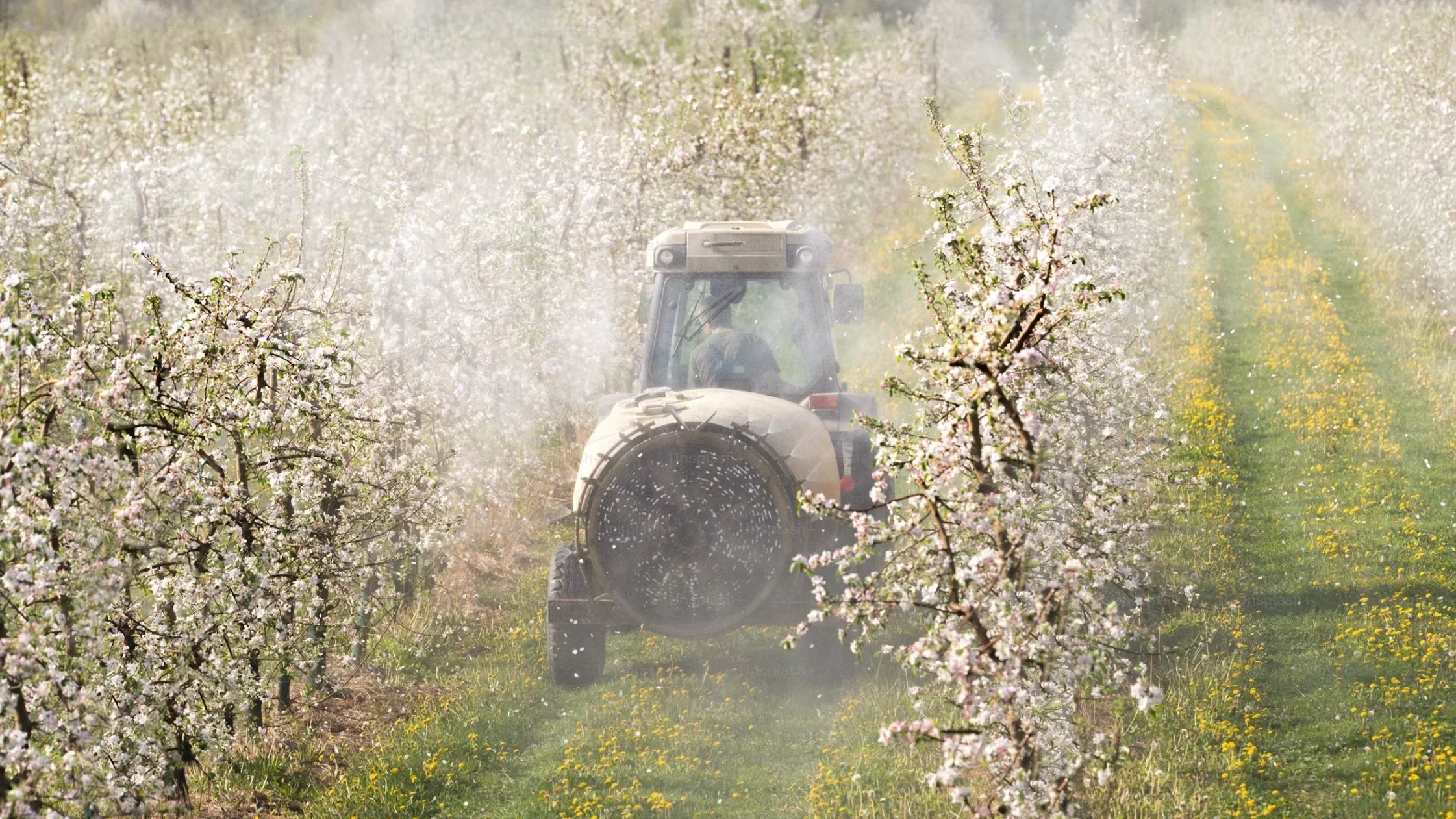 Vom Baumwollfeld bis zum Kuschelhoodie – So entsteht dein Lieblings-Piece