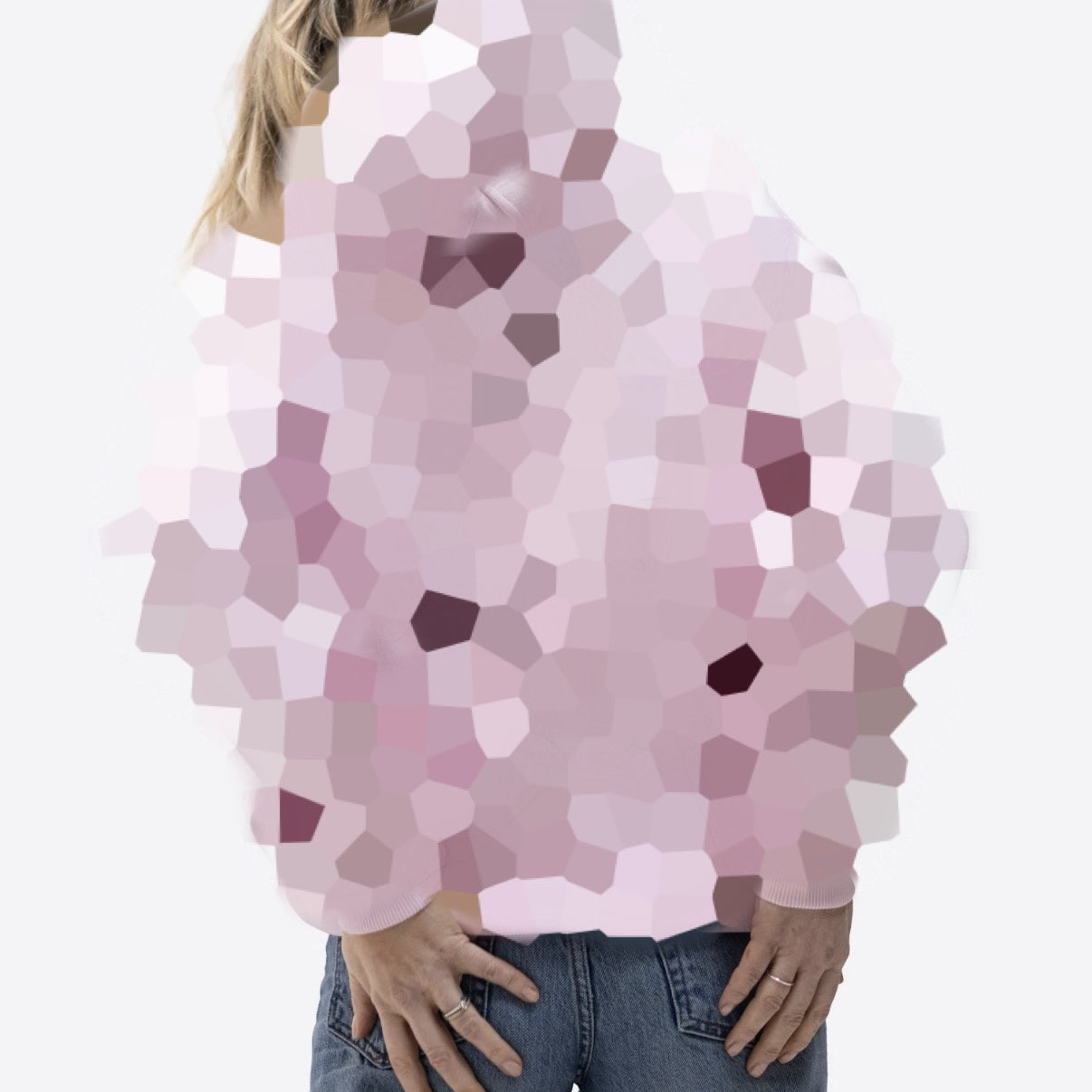 Mystery Regular Waistband Hoodie