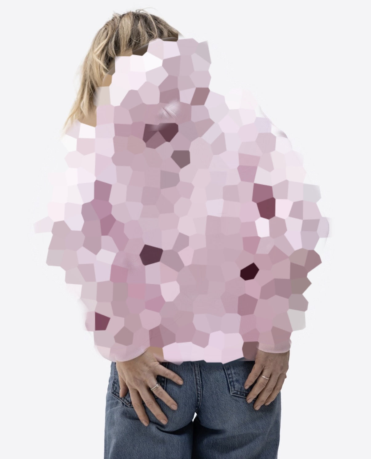 Mystery Regular Waistband Hoodie